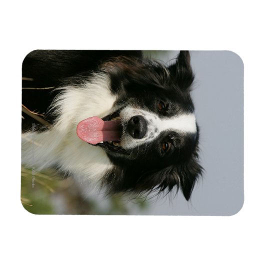 Magnet Flexible Capture d'écran de la bordure 1 (Horizontal)