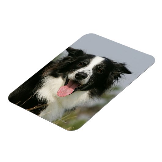 Magnet Flexible Capture d'écran de la bordure 1 (Côté Gauche)