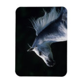 Magnet Flexible Capture d'écran du cheval arabe 2 (Vertical)