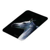 Magnet Flexible Capture d'écran du cheval arabe 2 (Côté Gauche)