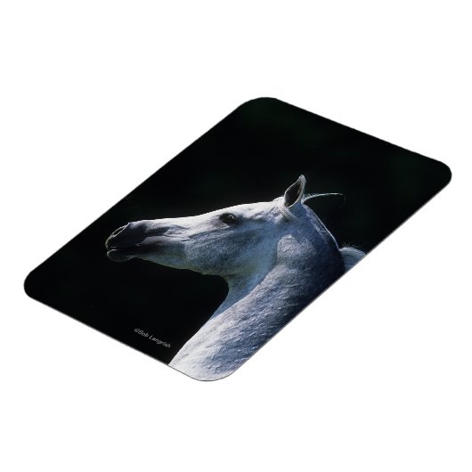 Magnet Flexible Capture d'écran du cheval arabe 2 (Côté Gauche)