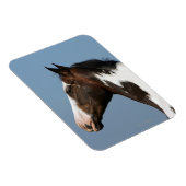 Magnet Flexible Capture d'écran du Cheval de peinture 1 (Côté Droit)