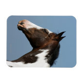 Magnet Flexible Capture d'écran du Cheval de peinture 1 (Horizontal)