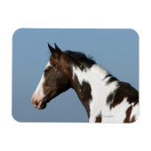 Magnet Flexible Capture d'écran du Cheval de peinture 1 (Horizontal)