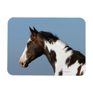 Magnet Flexible Capture d'écran du Cheval de peinture 1