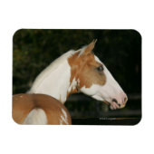 Magnet Flexible Capture d'écran du Cheval de peinture 2 (Horizontal)