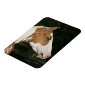 Magnet Flexible Capture d'écran du Cheval de peinture 2 (Côté Gauche)