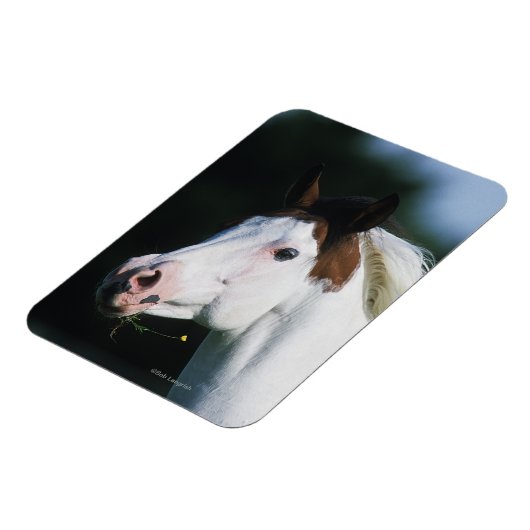 Magnet Flexible Capture d'écran du Cheval de peinture 3 (Côté Gauche)