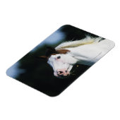 Magnet Flexible Capture d'écran du Cheval de peinture 3 (Côté Gauche)