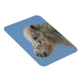 Magnet Flexible Capture d'écran du cheval miniature (Côté Droit)