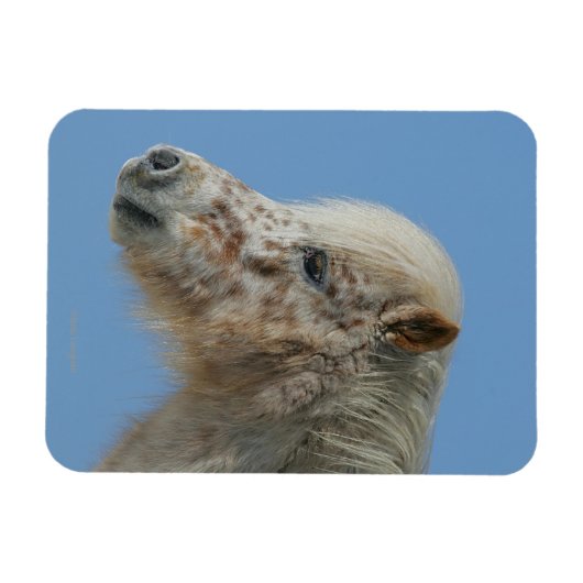 Magnet Flexible Capture d'écran du cheval miniature (Horizontal)