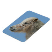 Magnet Flexible Capture d'écran du cheval miniature (Côté Gauche)