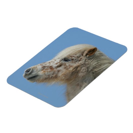 Magnet Flexible Capture d'écran du cheval miniature (Côté Gauche)