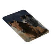 Magnet Flexible Capture d'écran du poulal Mustang (Côté Droit)