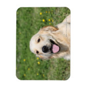 Magnet Flexible Capture d'écran Golden Retriever 1 (Vertical)