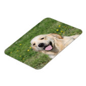 Magnet Flexible Capture d'écran Golden Retriever 1 (Côté Gauche)