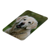 Magnet Flexible Capture d'écran Golden Retriever 2 (Côté Gauche)