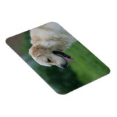 Magnet Flexible Capture d'écran Golden Retriever 2 2 (Côté Droit)
