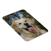 Magnet Flexible Capture d'écran Golden Retriever 3 (Côté Droit)