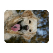 Magnet Flexible Capture d'écran Golden Retriever 3 (Horizontal)