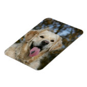 Magnet Flexible Capture d'écran Golden Retriever 3 (Côté Gauche)
