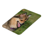 Magnet Flexible Capture d'écran Poméranienne (Côté Gauche)