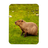 Magnet Flexible Capybara (Vertical)