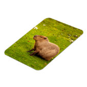 Magnet Flexible Capybara (Côté Gauche)
