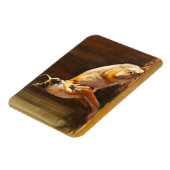 Magnet Flexible Caracal arabe 2010 (Côté Gauche)
