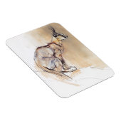 Magnet Flexible Caracal assis 2009 (Côté Droit)