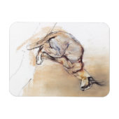 Magnet Flexible Caracal assis 2009 (Horizontal)