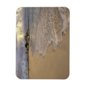 Magnet Flexible Caraïbes, Saint-Martin (Saint-Martin). Baie Maho (Vertical)