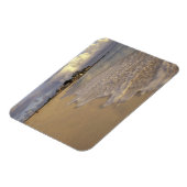 Magnet Flexible Caraïbes, Saint-Martin (Saint-Martin). Baie Maho (Côté Gauche)