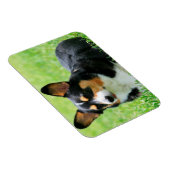 Magnet Flexible Cardigan Welsh Corgi (Côté Droit)