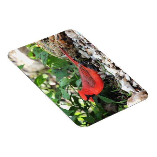 Magnet Flexible Cardinal (Côté Droit)