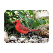 Magnet Flexible Cardinal (Horizontal)