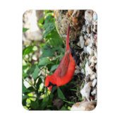 Magnet Flexible Cardinal (Vertical)