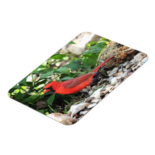 Magnet Flexible Cardinal (Côté Gauche)