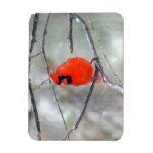 Magnet Flexible Cardinal dans la neige (Vertical)