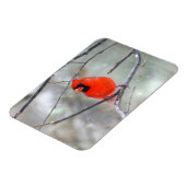 Magnet Flexible Cardinal dans la neige (Côté Gauche)