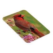 Magnet Flexible Cardinal du Nord 2 (Côté Droit)