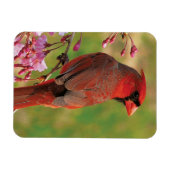 Magnet Flexible Cardinal du Nord 2 (Horizontal)