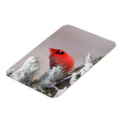 Magnet Flexible Cardinal Du Nord Perché Dans Un Arbre (Côté Gauche)