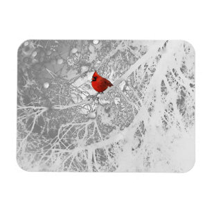 Magnet Flexible Cardinal en hiver
