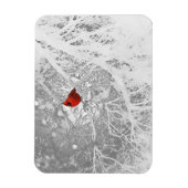Magnet Flexible Cardinal en hiver (Vertical)