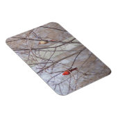 Magnet Flexible Cardinal family (Côté Droit)
