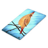 Magnet Flexible Cardinal féminin (Côté Gauche)