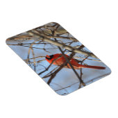 Magnet Flexible Cardinal Majestic (Côté Droit)