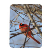 Magnet Flexible Cardinal Majestic (Vertical)