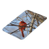 Magnet Flexible Cardinal Majestic (Côté Gauche)